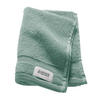 GÄSTETUCH SW-Cuddly Salbeigrün, Pastellgrün, Mintgrün, Grün  - Salbeigrün/Pastellgrün, Basics, Textil (30/50cm) - Schöner Wohnen