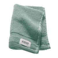 GÄSTETUCH SW-Cuddly Salbeigrün, Pastellgrün, Mintgrün, Grün  - Salbeigrün/Pastellgrün, Basics, Textil (30/50cm) - Schöner Wohnen