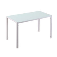 JÍDELNÍ stůl 120/60/75 cm bílý z kovu a tvrzeného skla pro 4 osoby - bílá, kov (120/60/75cm) - OKWISH