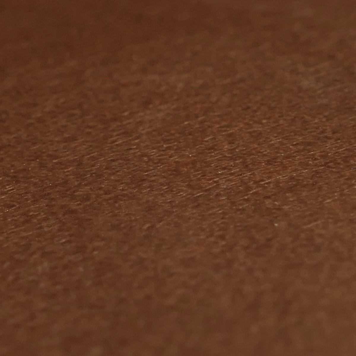 STENSKI PANEL Rjava Kompletna garnitura - rjava, les (50/100/1cm) - MCW