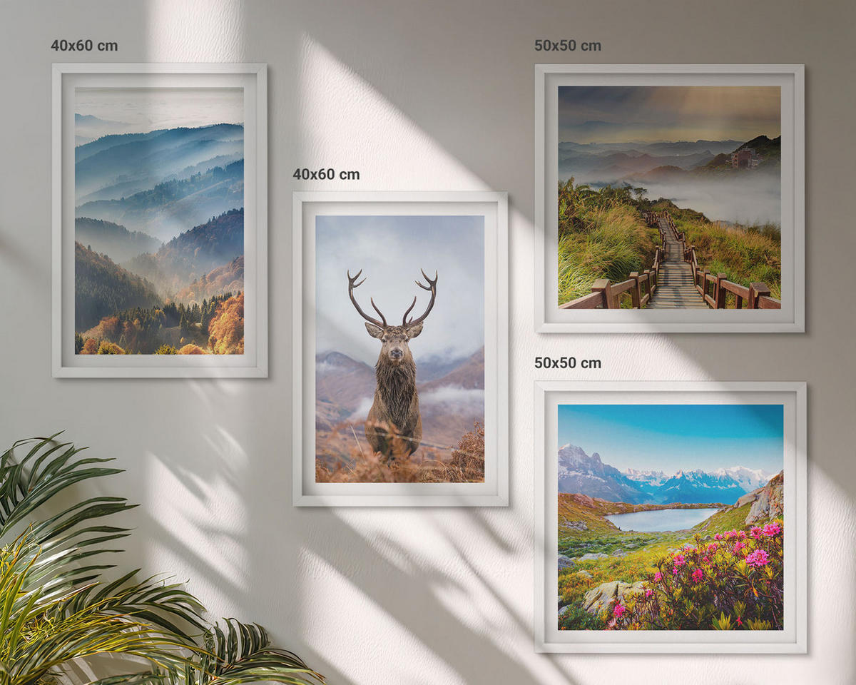 WANDBILDER 4er-Set - 50x50 cm & 40x60 cm Weißer Rahmen - Berglandschaft, See, Hirsche - Weiß, Kunststoff (50/50cm) - ArtPrintCave