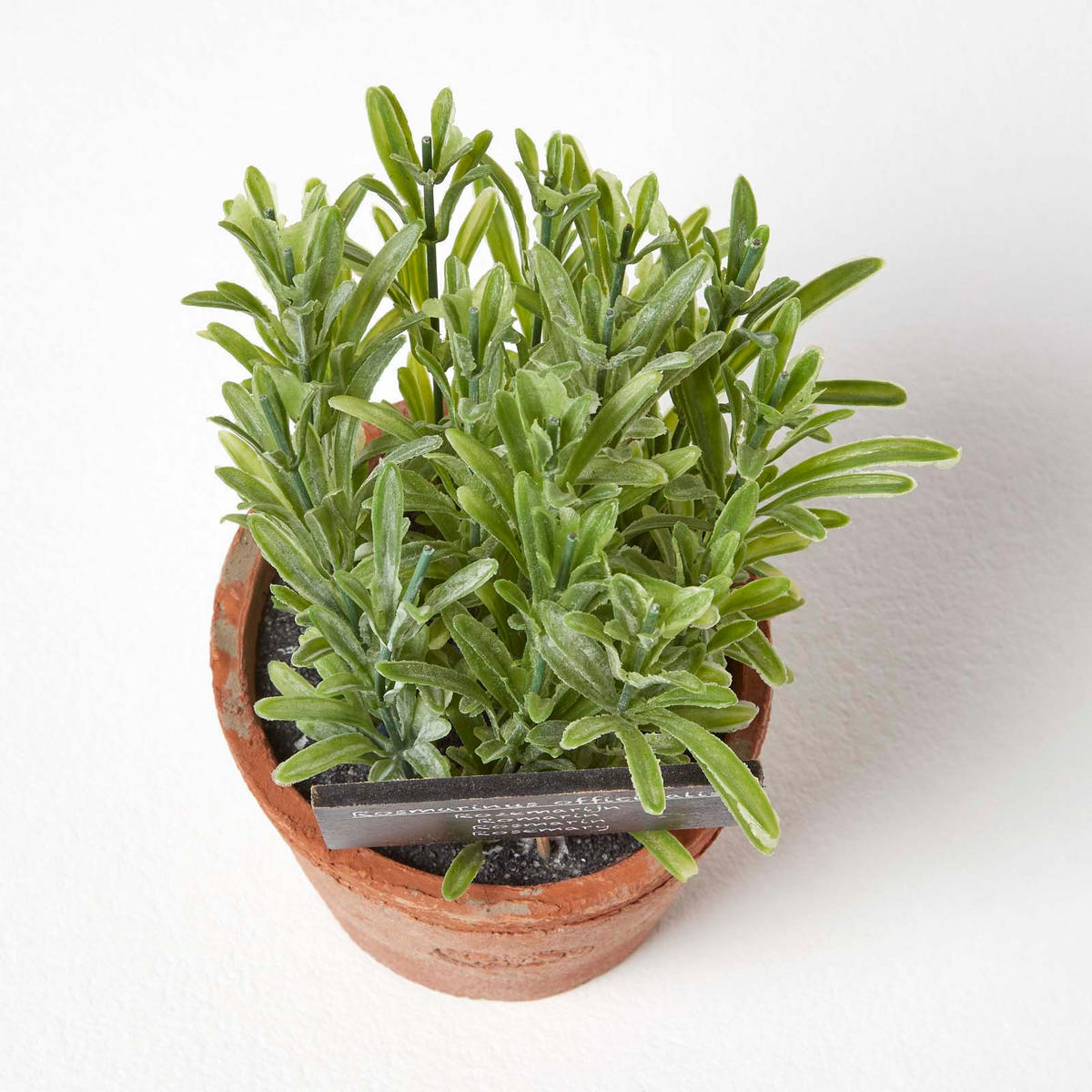 KUNSTPFLANZE Rosmarin im Terrakotta-Topf, 18 cm - Grün, Kunststoff (18cm) - Homescapes