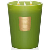 DUFTKERZE Rosmarin Eukalyptus 3-Docht 990g 150H Brenndauer - Grün, Paraffin (16cm)