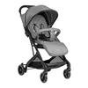 KINDERWAGEN Miley mit Fußsack grau gemustert Fußstütze verstellbar, klappbar, Korb - Hellgrau, Metall (64/52/100cm) - Kikka boo