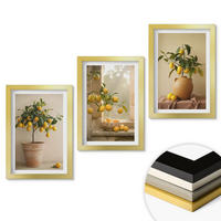 WANDBILDER 3er Set - 20x30 cm Goldrahmen - Zitronenbäume im Topf - Goldfarben, Kunststoff (20/30cm) - ArtPrintCave