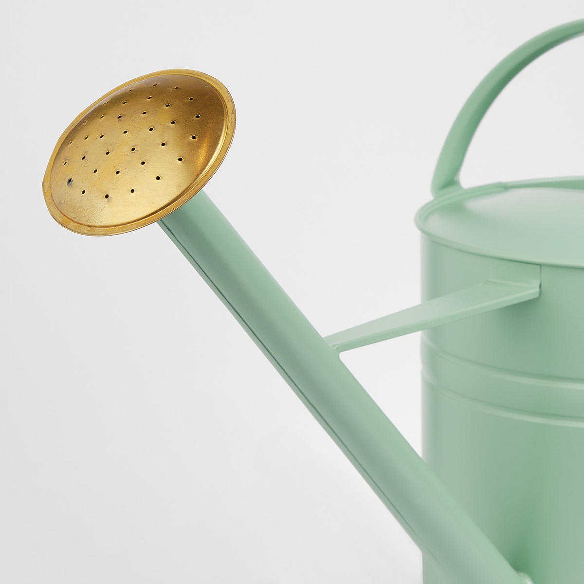 GIESSKANNE Zinc 8L - Grün, Metall (23/35/65cm) - Butlers