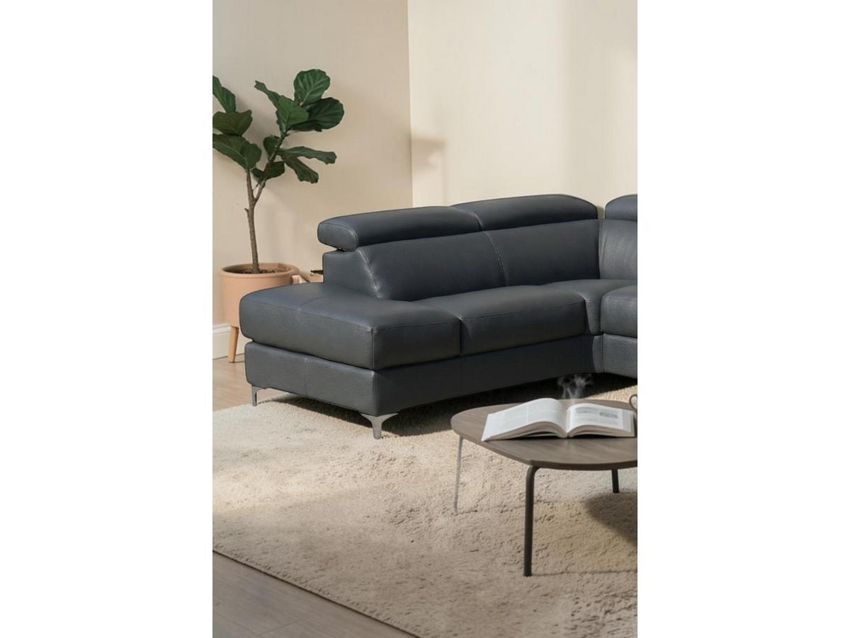ECKSOFA Avenger Echtleder Anthrazit - Anthrazit, Leder/Metall (224/81/271cm)