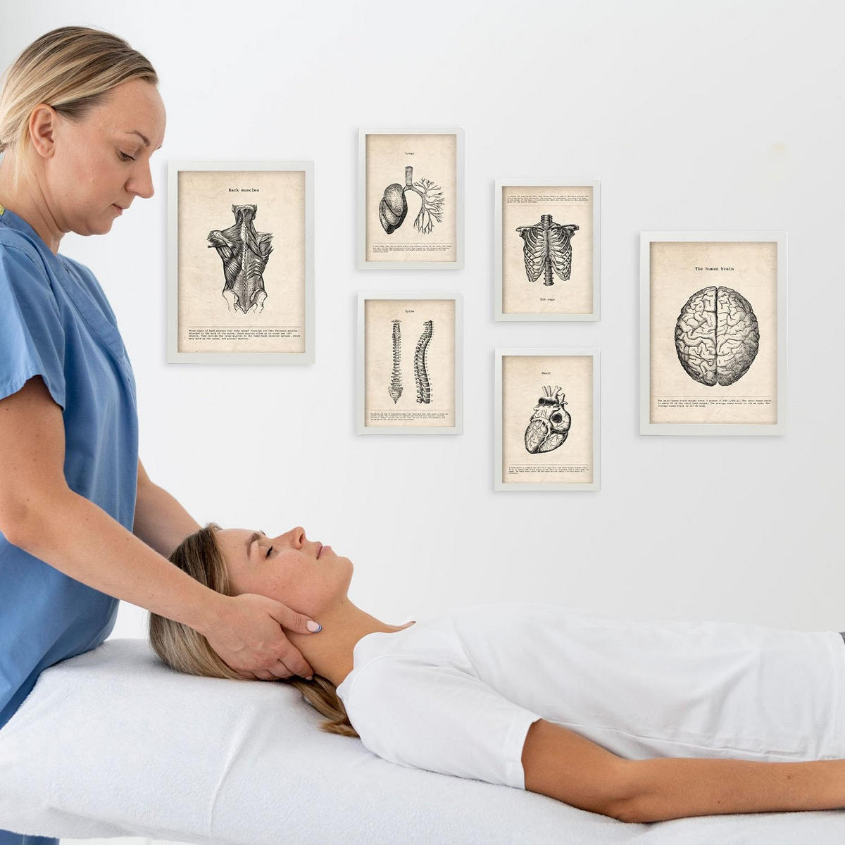 POSTER Set Mit 6 Anatomie Gehirn, Muskeln, Knochen Größe A3 & A4 Weißer Rahmen - Weiß, Papier (29.7/1cm) - Nacnic