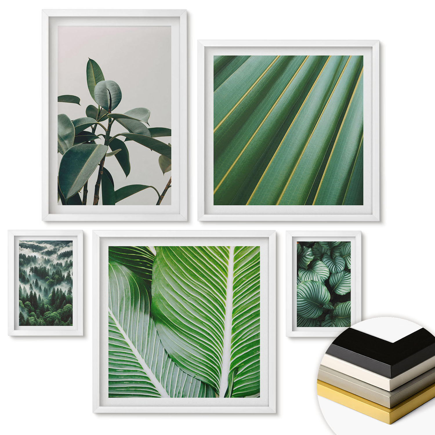 WANDBILDER 5er-Set - 50x50 cm & 20x30 cm & 40x60 cm Weißer Rahmen - Tropische Blätter in Grün - Weiß, Kunststoff (40/60cm) - ArtPrintCave