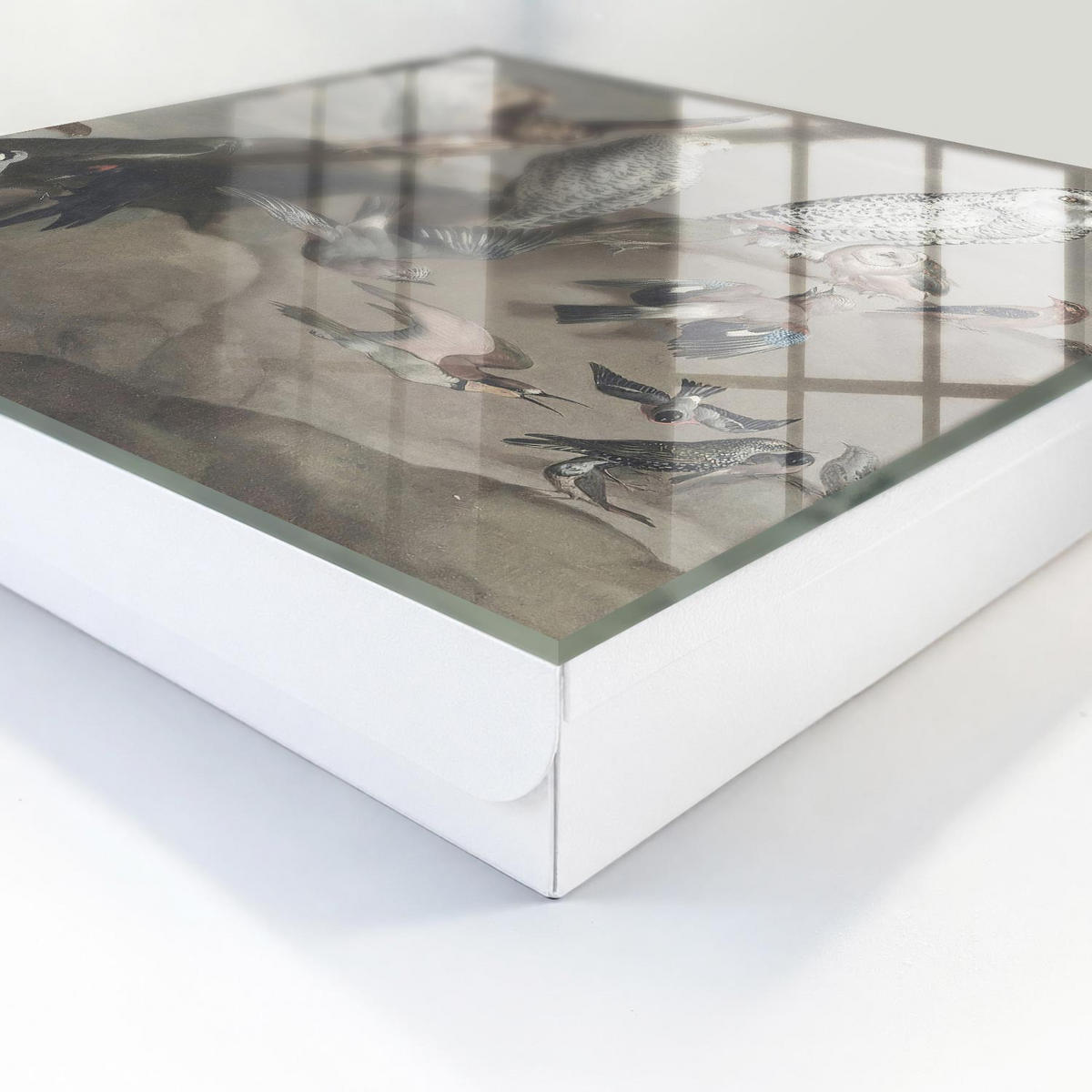 SCHLÜSSELBOX Weiß 30x30 cm – Türöffnung nach rechts - Vögel auf einem Felsen - Grau, Metall (30/30/5cm) - TULUP
