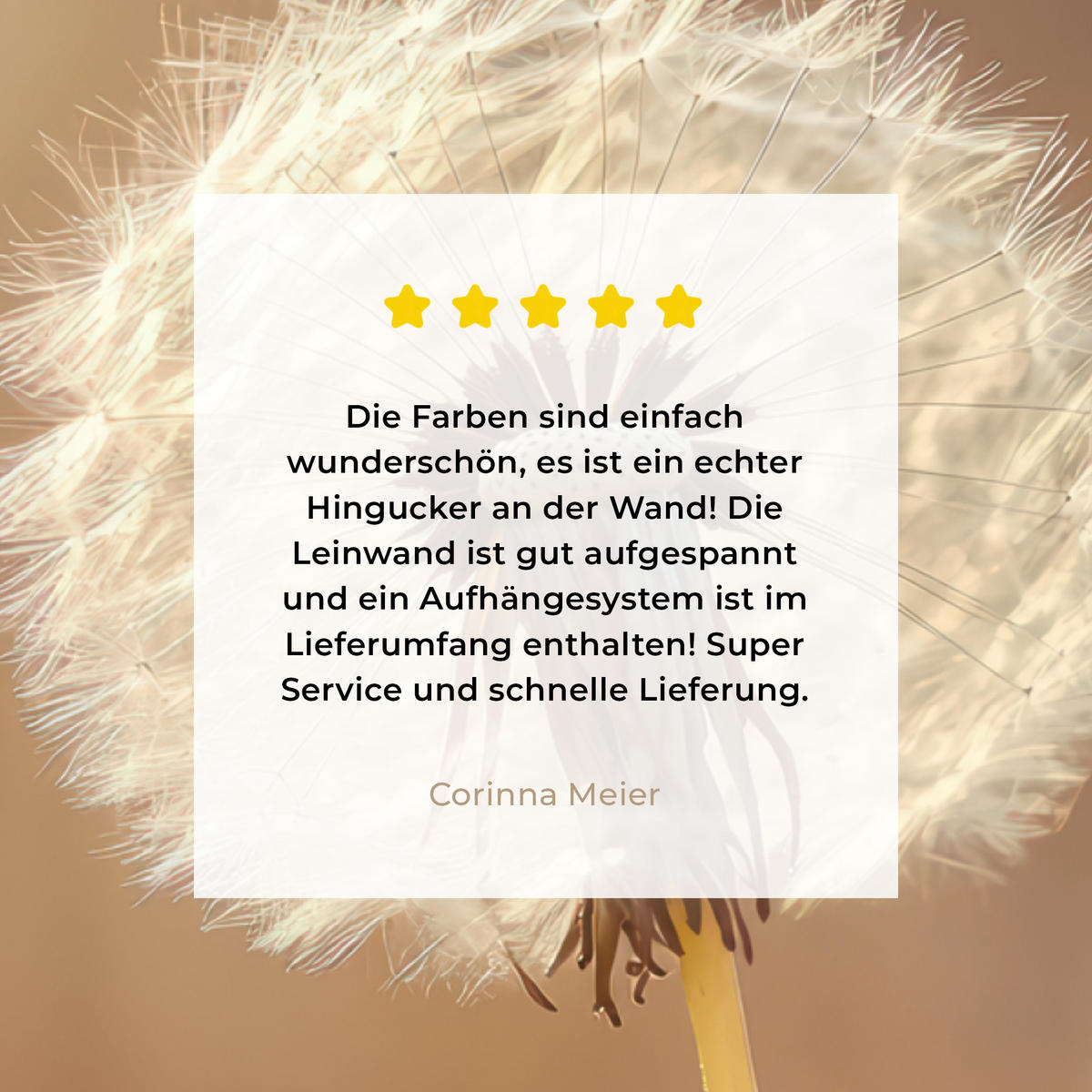 LEINWANDBILD Löwenzahn - Beige - Natur - Blume 60x80 cm - Hellbraun, Textil (60/80cm) - MuchoWow