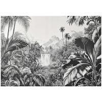 FOTOTAPETE Dschungel Wald Schwarz Weiß Tapete Wohnzimmer Schlafzimmer 350x250 - Grau, Papier (350/250cm) - Wallarena