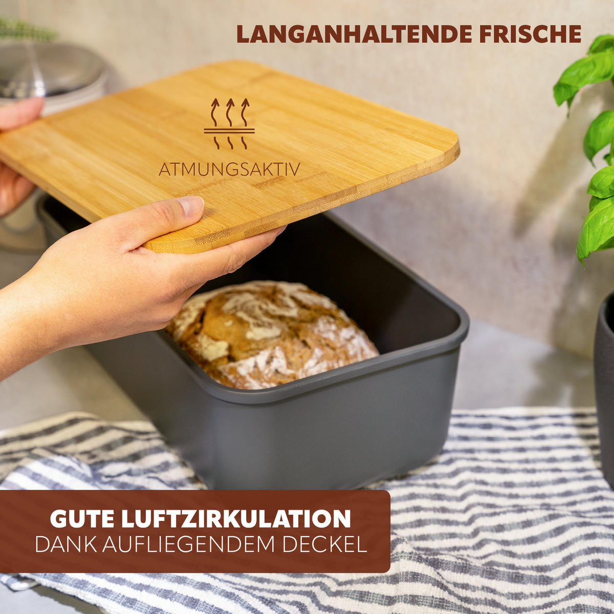 BROTKASTEN, grau - Grau, Kunststoff (40/12.5/23cm) - bremermann