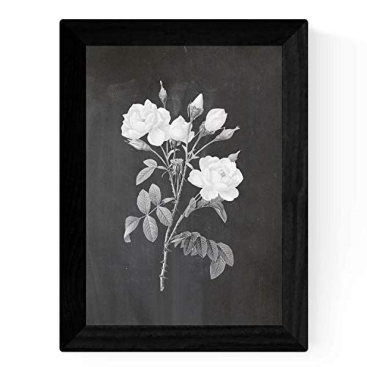 POSTER Set mit 4 Botanische Schwarz Hintergrund helle Blumen A3 Rahmenlos - Klar, Papier (29.7/3cm) - Nacnic