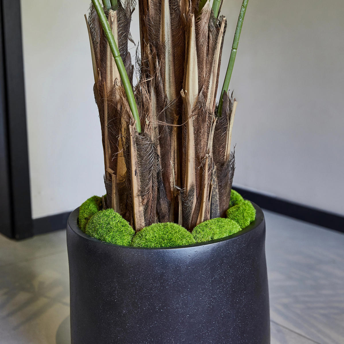 KUNSTBAUM Künstliche Kentia-Palme – Caliora 210 cm - Grün, Kunststoff (210cm) - aplanta