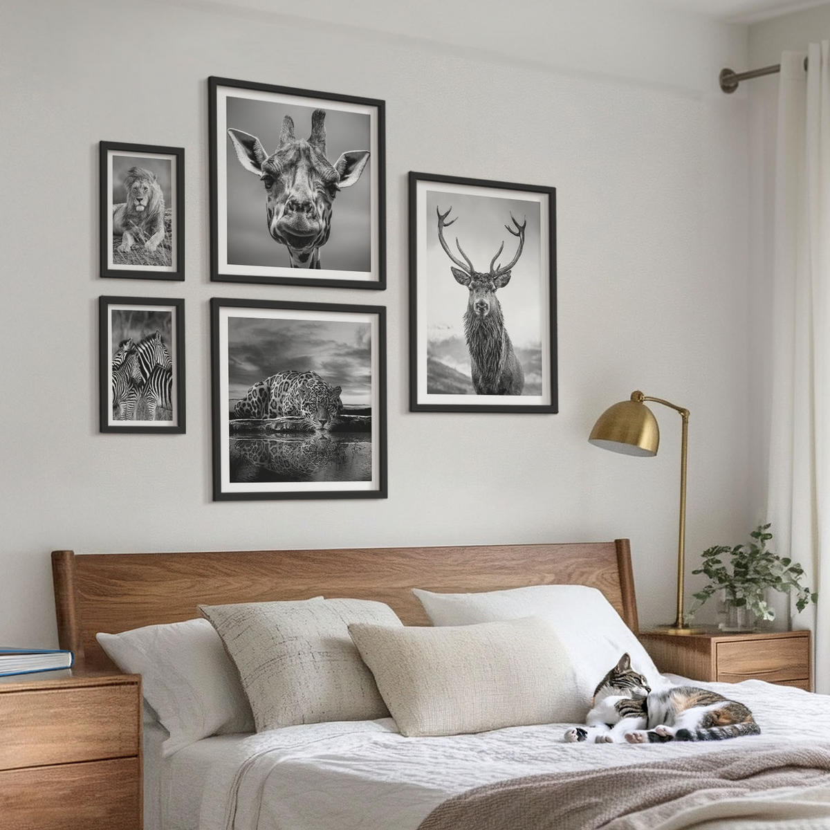 BILDER SET 5er Set - 50x50 cm & 20x30 cm & 40x60 cm Schwarzer Rahmen - Wildtiere Löwe Jaguar Giraffe Zebras - Schwarz, Kunststoff (40/60cm) - TULUP