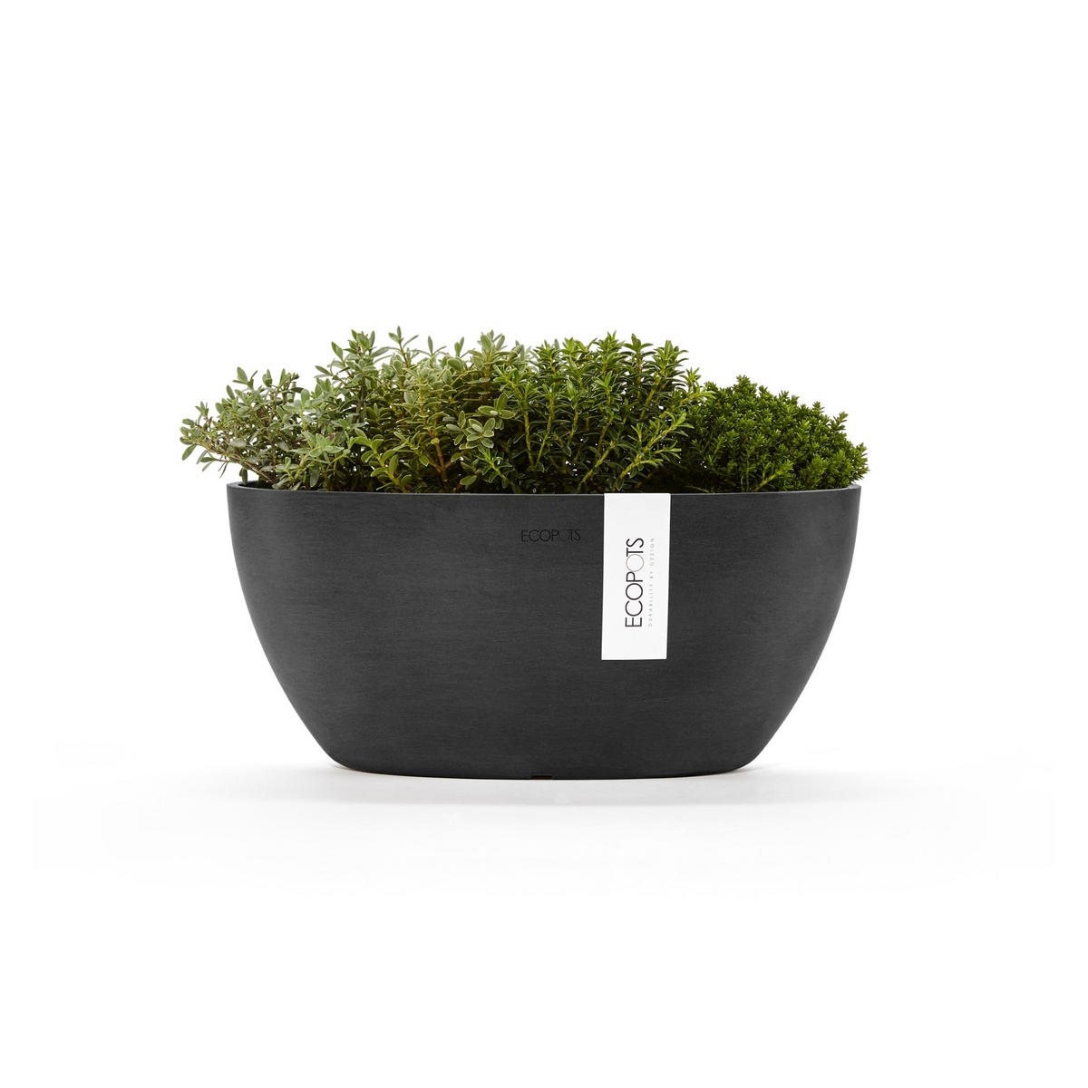 BLUMENTOPF Sofia 29,5/13,5 cm Dunkelgrau - Dunkelgrau, Kunststoff (29.5/13.5cm) - Ecopots