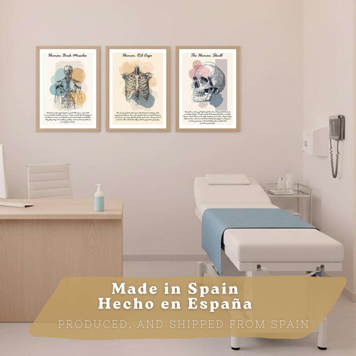 POSTER Set aus 3 Anatomie Mensch Lernposter Drucke und Wandbilder mit Muskeln Rücken Brustkorb Schädel Wanddekoration Größe Leichter Holzrahmen A3 - Beige, Papier (29.7/42/3cm) - Nacnic