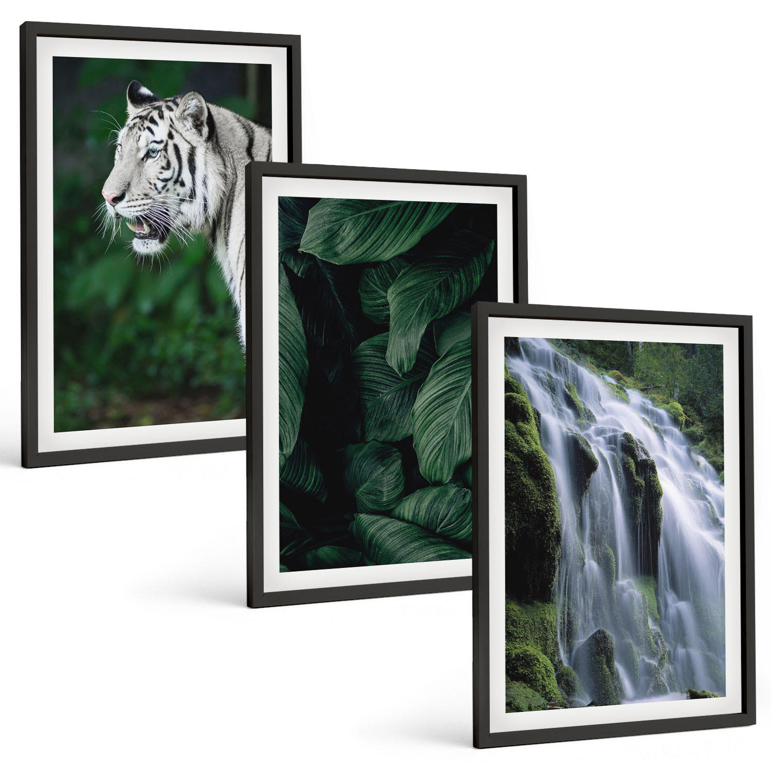 BILDER SET 3er Set - 40x60 cm Schwarzer Rahmen - Wasserfall aus weißen Tigerblättern - Schwarz, Kunststoff (40/60cm) - TULUP