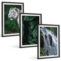 BILDER SET 3er Set - 40x60 cm Schwarzer Rahmen - Wasserfall aus weißen Tigerblättern - Schwarz, Kunststoff (40/60cm) - TULUP