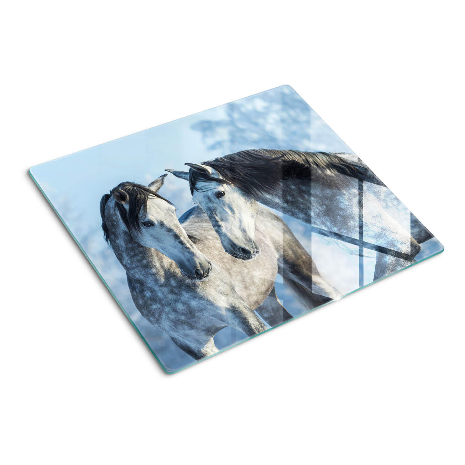 GLASPLATTE 60x52 cm Graue Pferde im Winter - Grau, Glas (60/0.4/52cm) - TULUP
