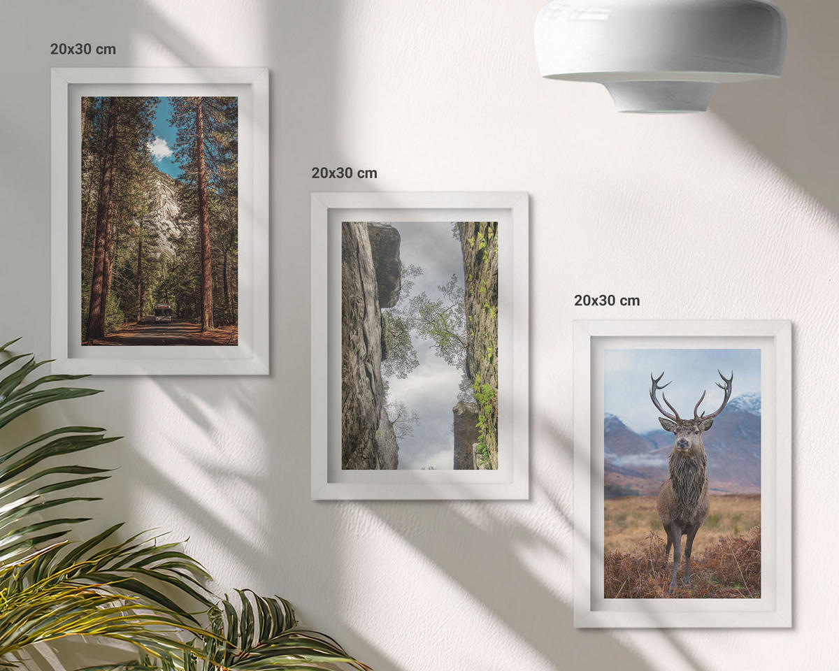 BILDER SET 3er Set - 20x30 cm Weißer Rahmen - Straße Wald Berge Hirsch Natur - Weiß, Kunststoff (20/30cm) - TULUP