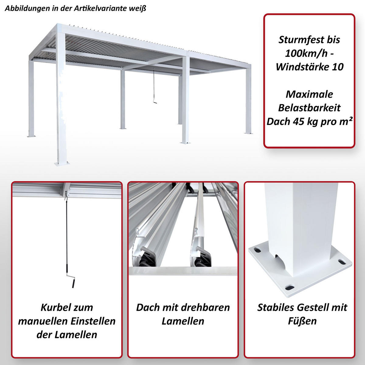 PERGOLA Anthrazit - Anthrazit, Metall (583/220/301cm) - MCW