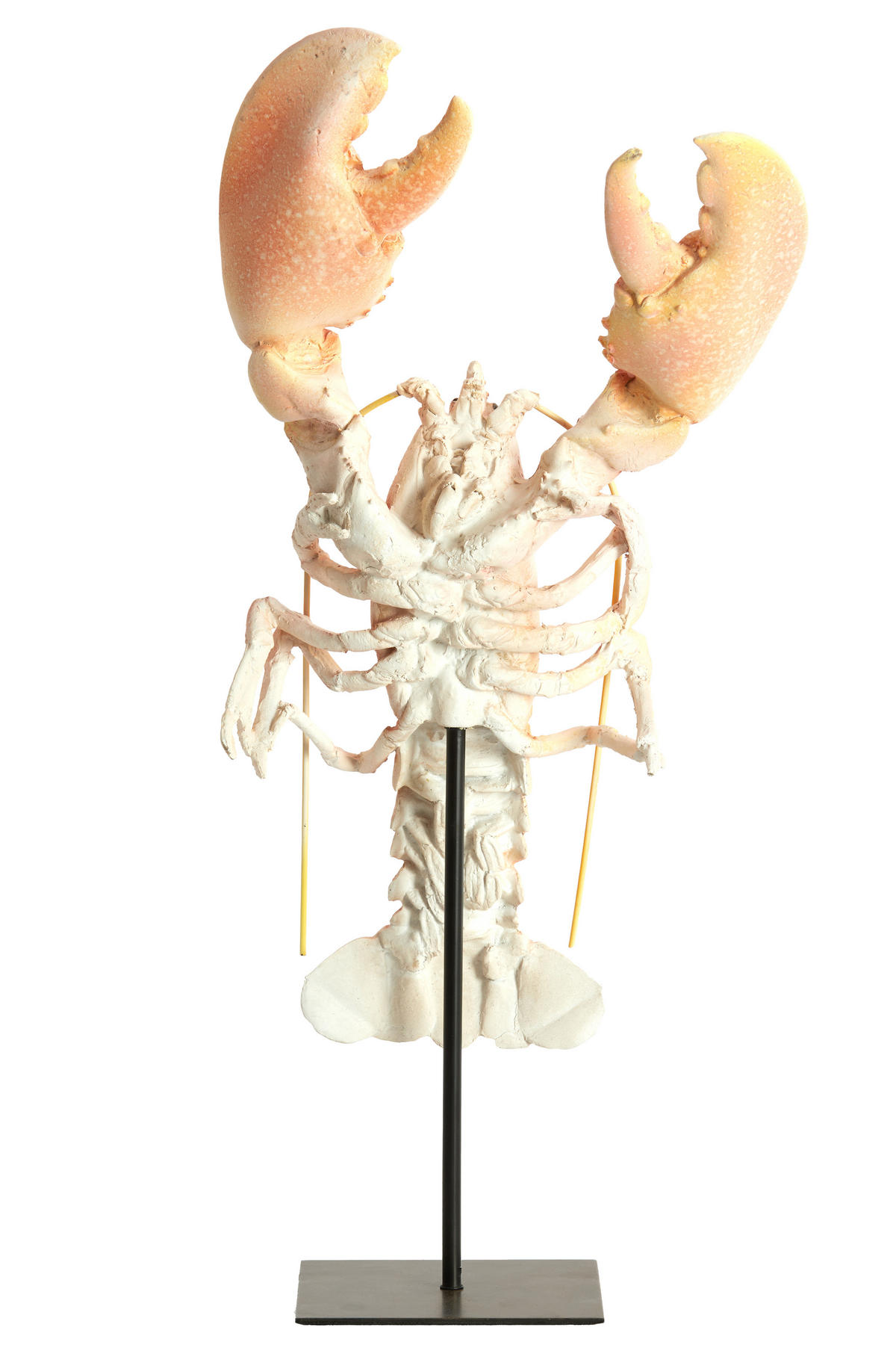 ORNAMENT Lobster Orange 25/14/56.5 cm - Orange, Kunststoff (14/56.5/25cm) - Light & Living