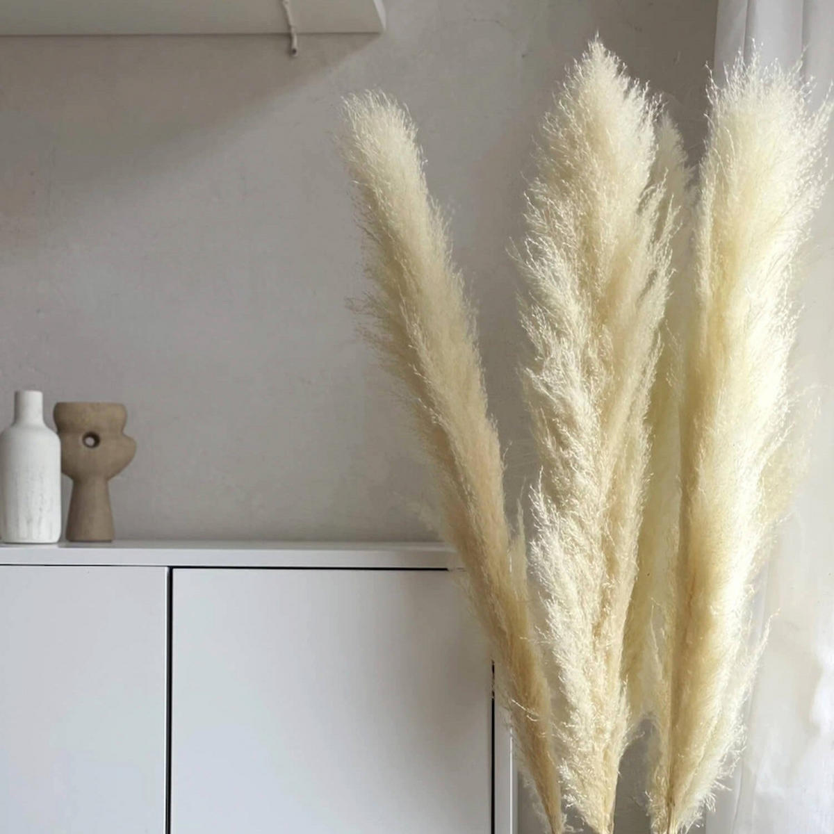 PAMPASGRAS gebleicht - weiß / 110 cm - Beige, Naturmaterialien (110cm) - Lykke & You