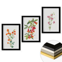 WANDBILDER 3er-Set - 20x30 cm Schwarzer Rahmen - Vintage-Retro-Blumenmalerei - Schwarz, Kunststoff (20/30cm) - ArtPrintCave