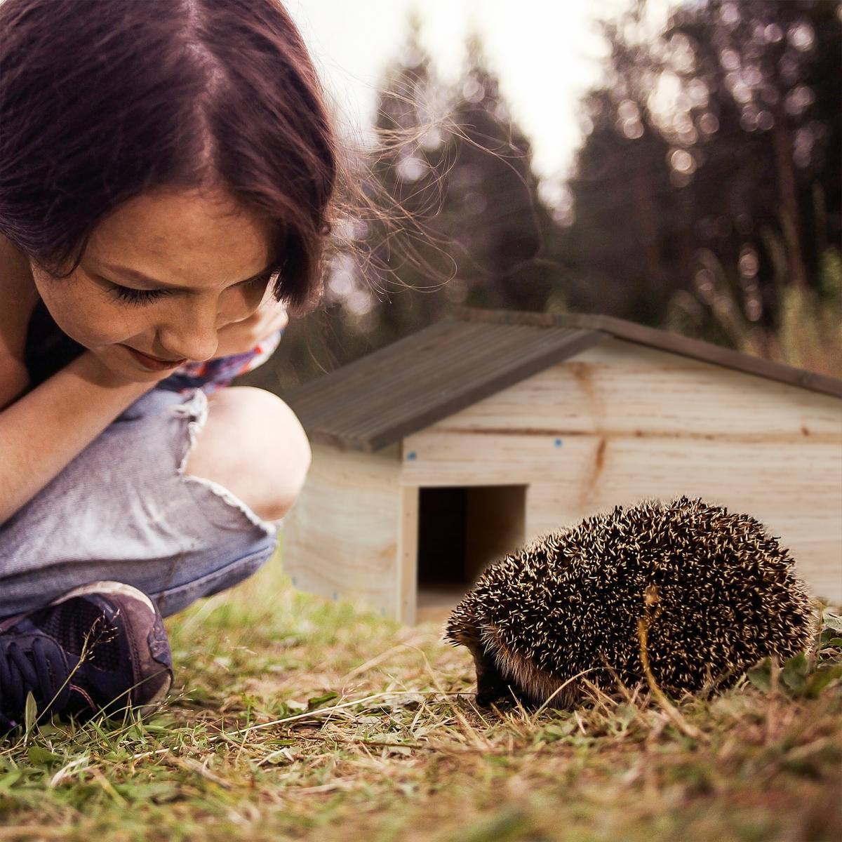 IGELHAUS - Hellbraun, Holz/Metall (46/24/33.5cm) - Relaxdays