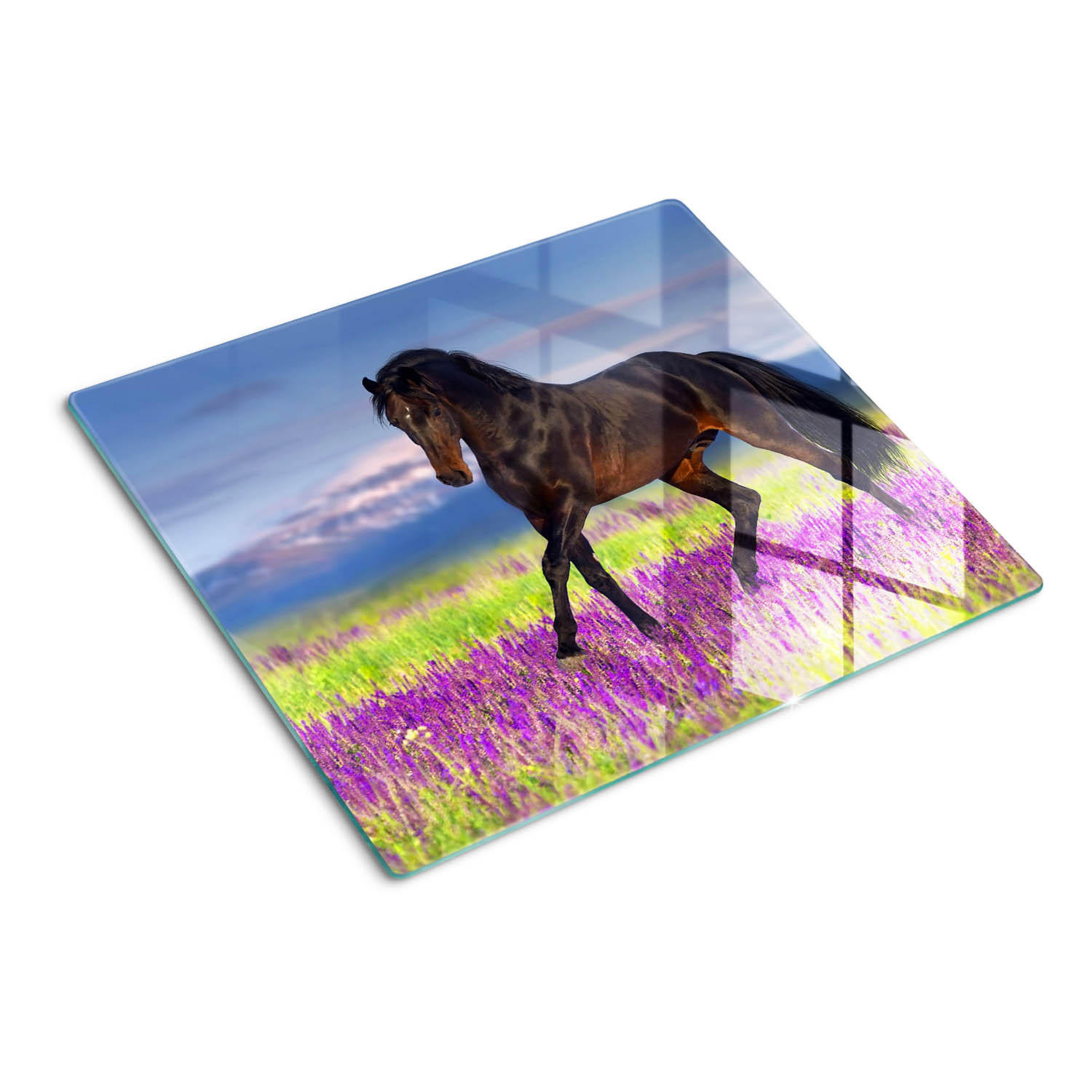 GLASPLATTE 60x52 cm Pferd Lavendelfeld - Violett, Glas (60/52cm) - TULUP