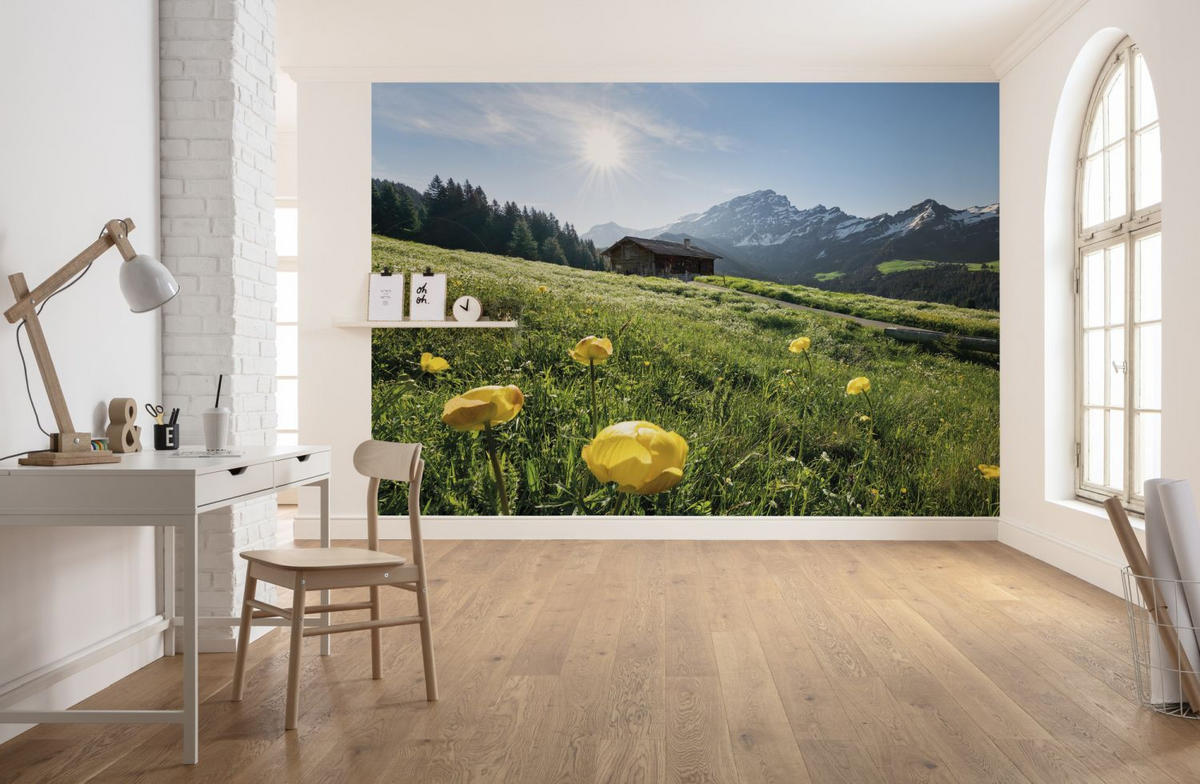 FOTOTAPETE Alpen 400 x 280 cm - Grün, Papier (400/280cm) - Sanders & Sanders