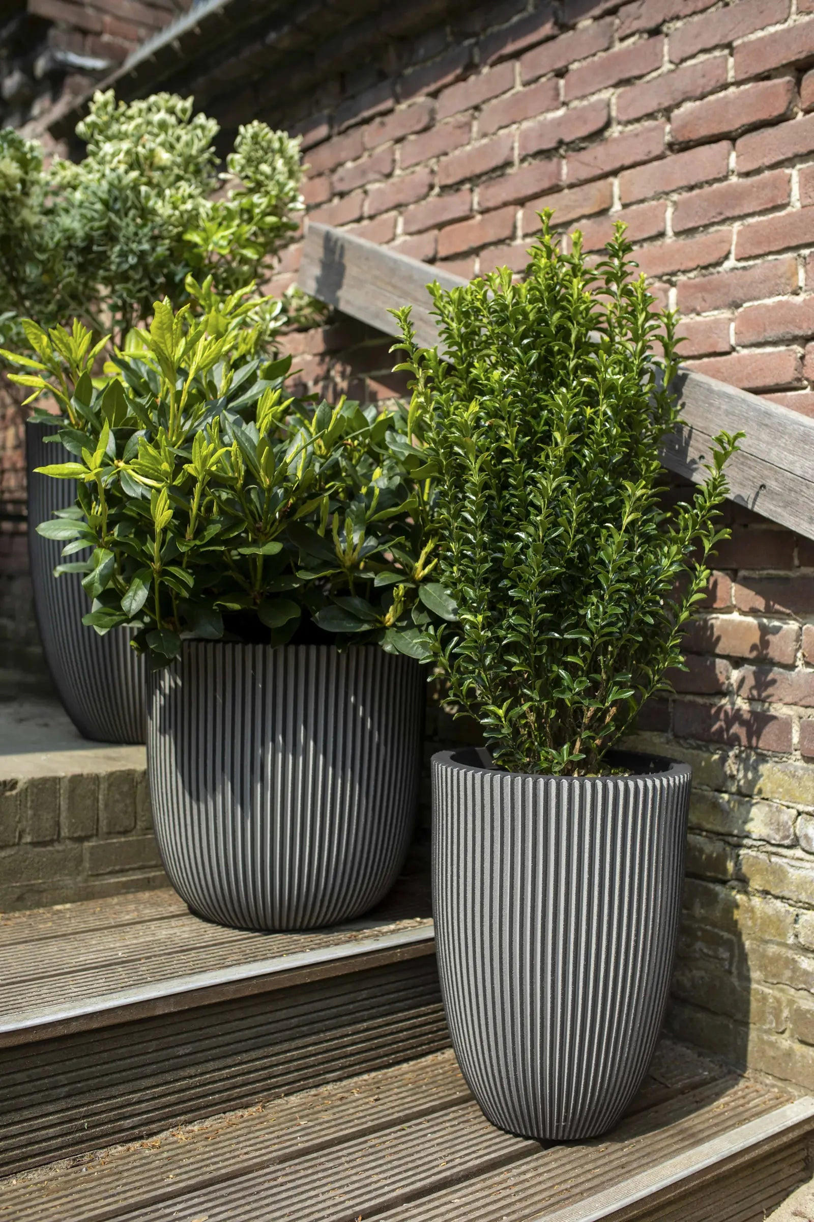 ÜBERTOPF Kugel Groove anthrazit | 43x41 cm - Anthrazit, Kunststoff (1/41/1cm) - aplanta