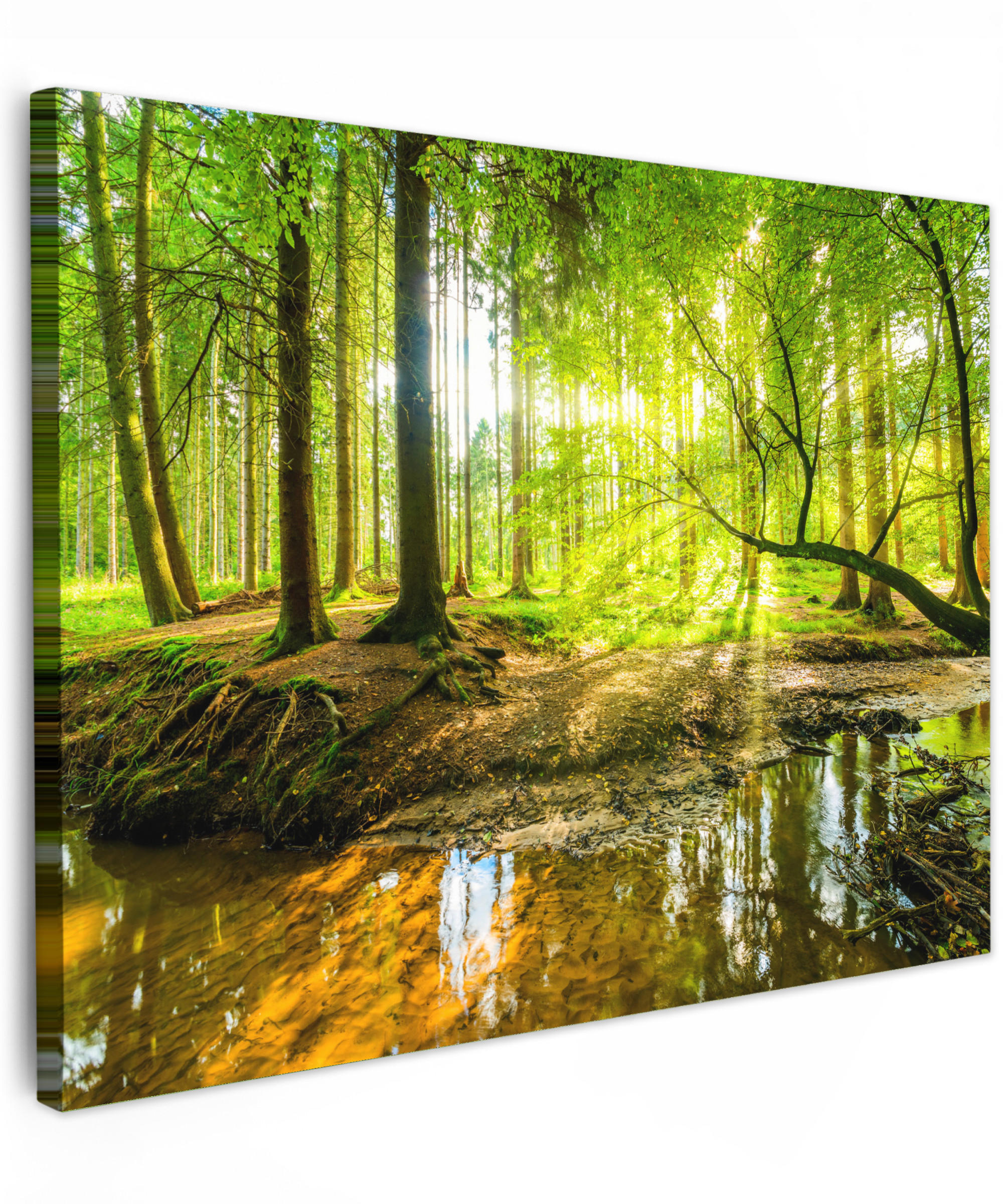LEINWANDBILD Wald - Landschaft - Wasser - Bäume - Sonne - Grün - Natur Wandbilder 80x60 cm - Grün, Textil (80/60cm) - MuchoWow