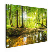 LEINWANDBILD Wald - Landschaft - Wasser - Bäume - Sonne - Grün - Natur Wandbilder 80x60 cm - Grün, Textil (80/60cm) - MuchoWow
