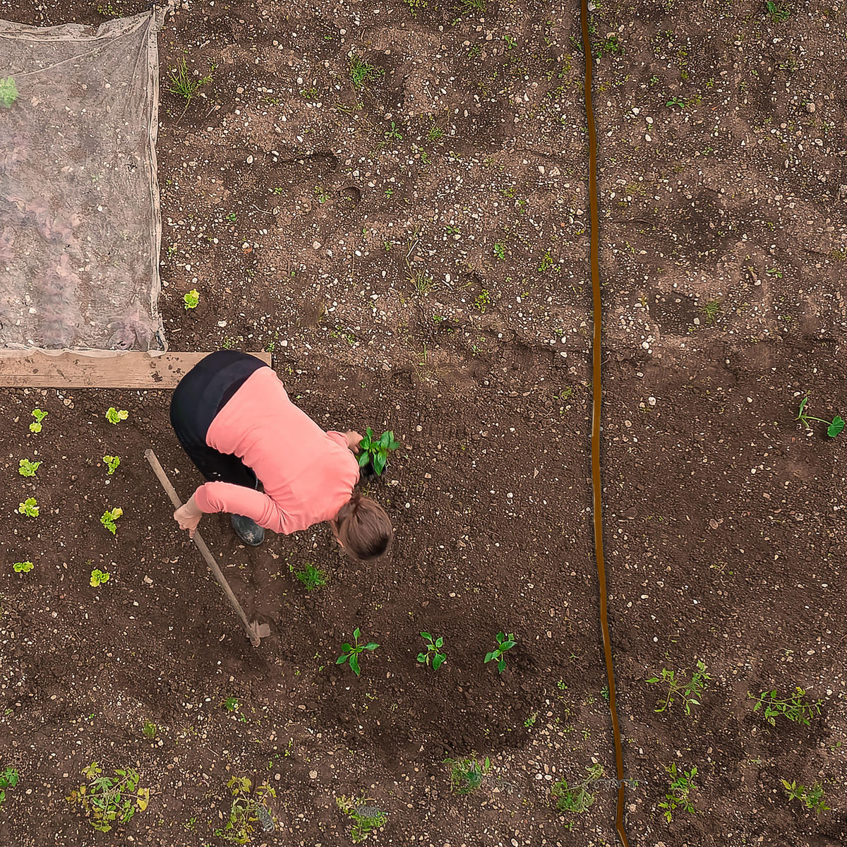 BEWÄSSERUNGSSCHLAUCH - Braun, Kunststoff (3.5cm) - Relaxdays