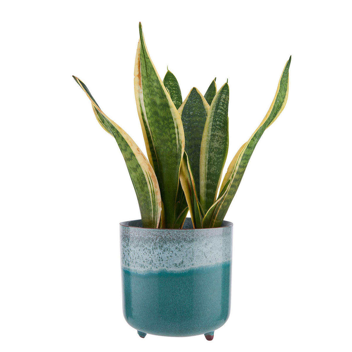 BLUMENTOPF Tide - Blau, Keramik (15cm) - Butlers