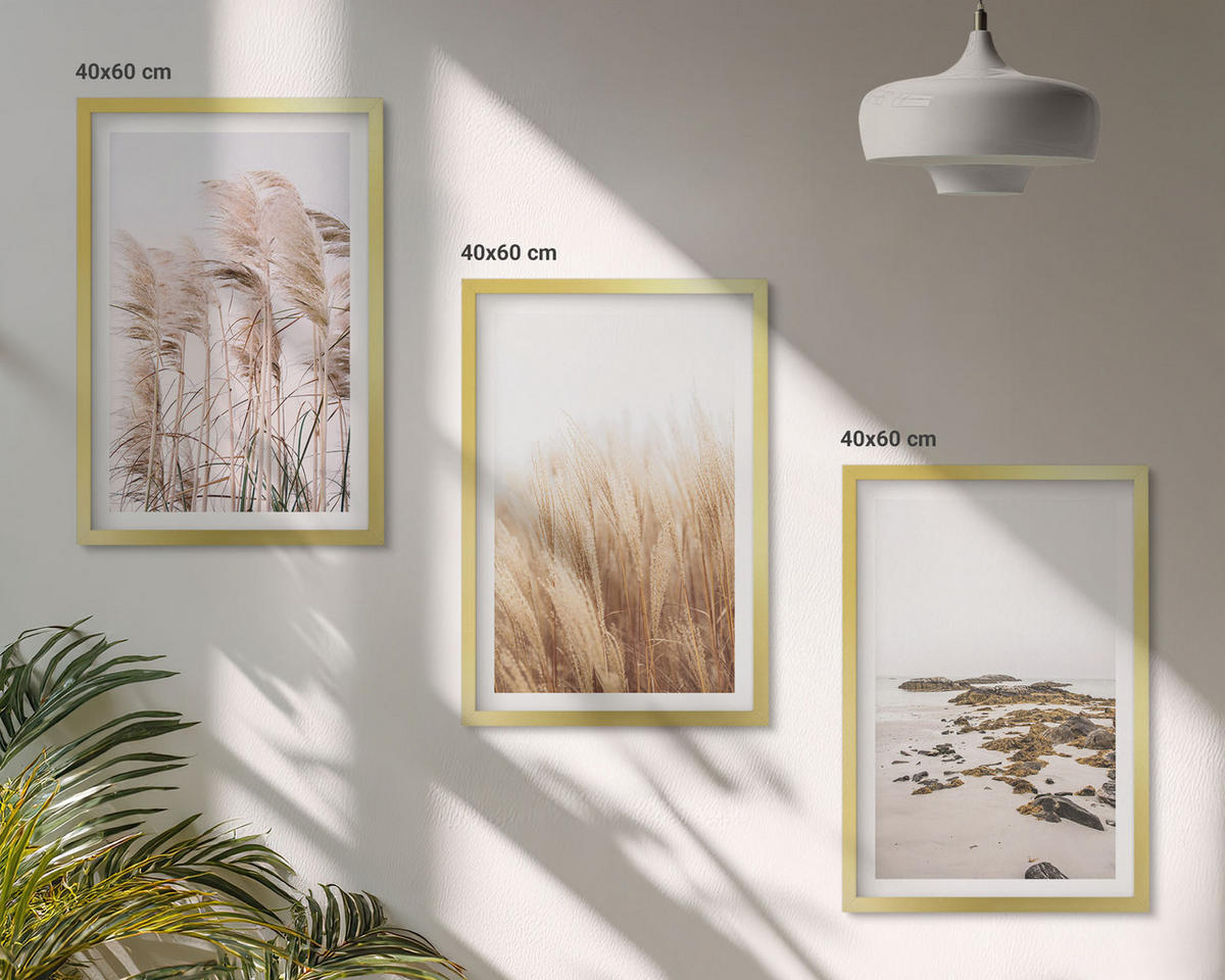 WANDBILDER 3er Set - 40x60 cm Goldrahmen - Pampasgrasfelder und ein Boho-Strand - Goldfarben, Kunststoff (40/60cm) - ArtPrintCave