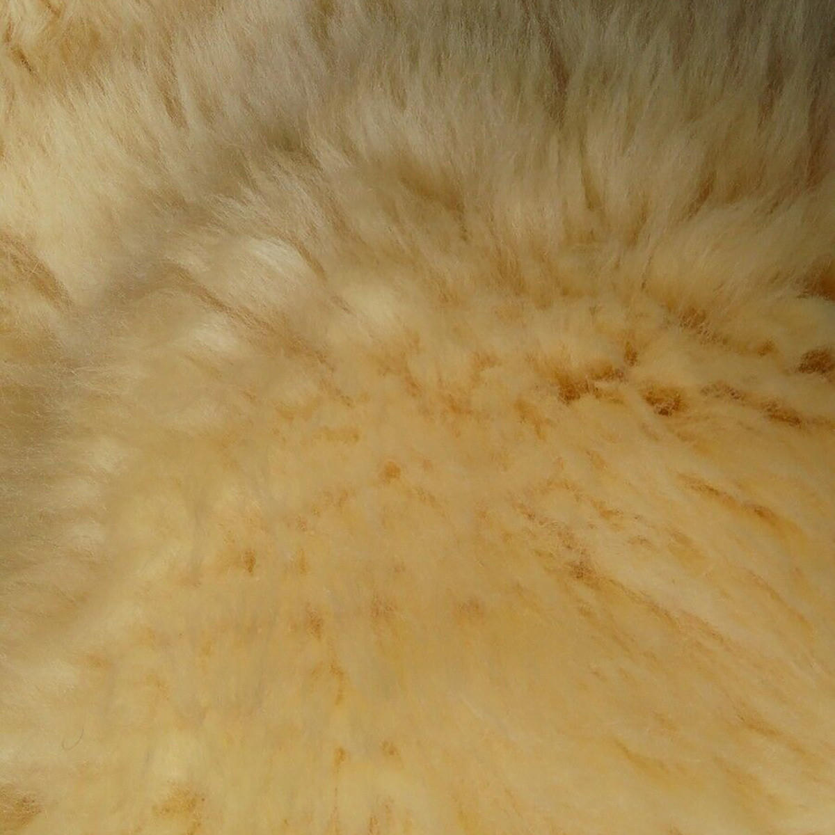 TEPPICH Baby Lammfell medizinisch gegerbt langflorig 110 cm - Beige/Goldfarben, Fell (65/110cm) - Provellus