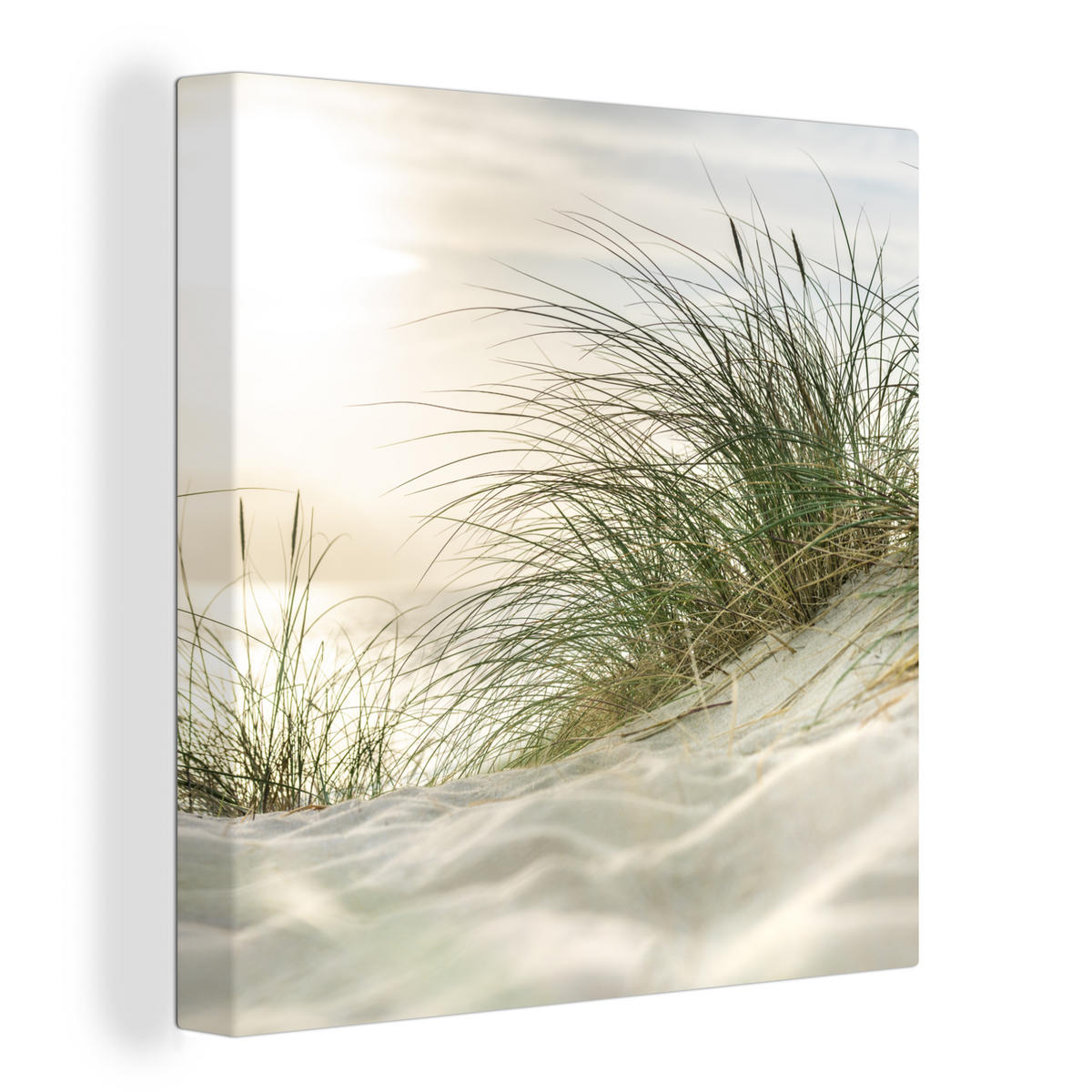 LEINWANDBILD Dünen mit Strandhafer in der Sonne des Nationalparks Schleswig-Holsteinisches Wattenmeer 20x20 cm - Creme, Textil (20/20cm) - MuchoWow