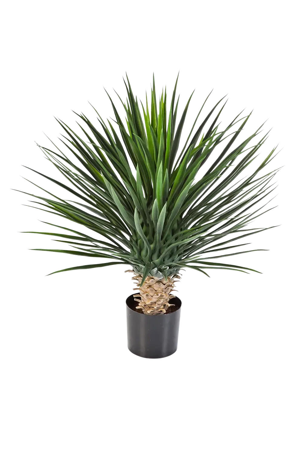 KÜNSTLICHE Yucca Rostrata Palme - Sascha 80 cm - Multicolor, Kunststoff (80cm) - aplanta