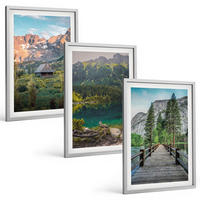 BILDER SET 3er Set - 40x60 cm Silberner Rahmen - Berglandschaft See Brücke - Silberfarben, Kunststoff (40/60cm) - TULUP