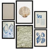POSTER Set Mit 6 Strand, Meer, Ozean A3 & A4 Schwarzer Rahmen - Schwarz, Papier (29/3cm) - Nacnic