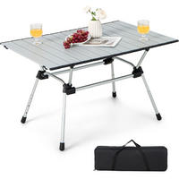CAMPINGTISCH Silber - Silberfarben, Metall (90/61/52cm) - COSTWAY