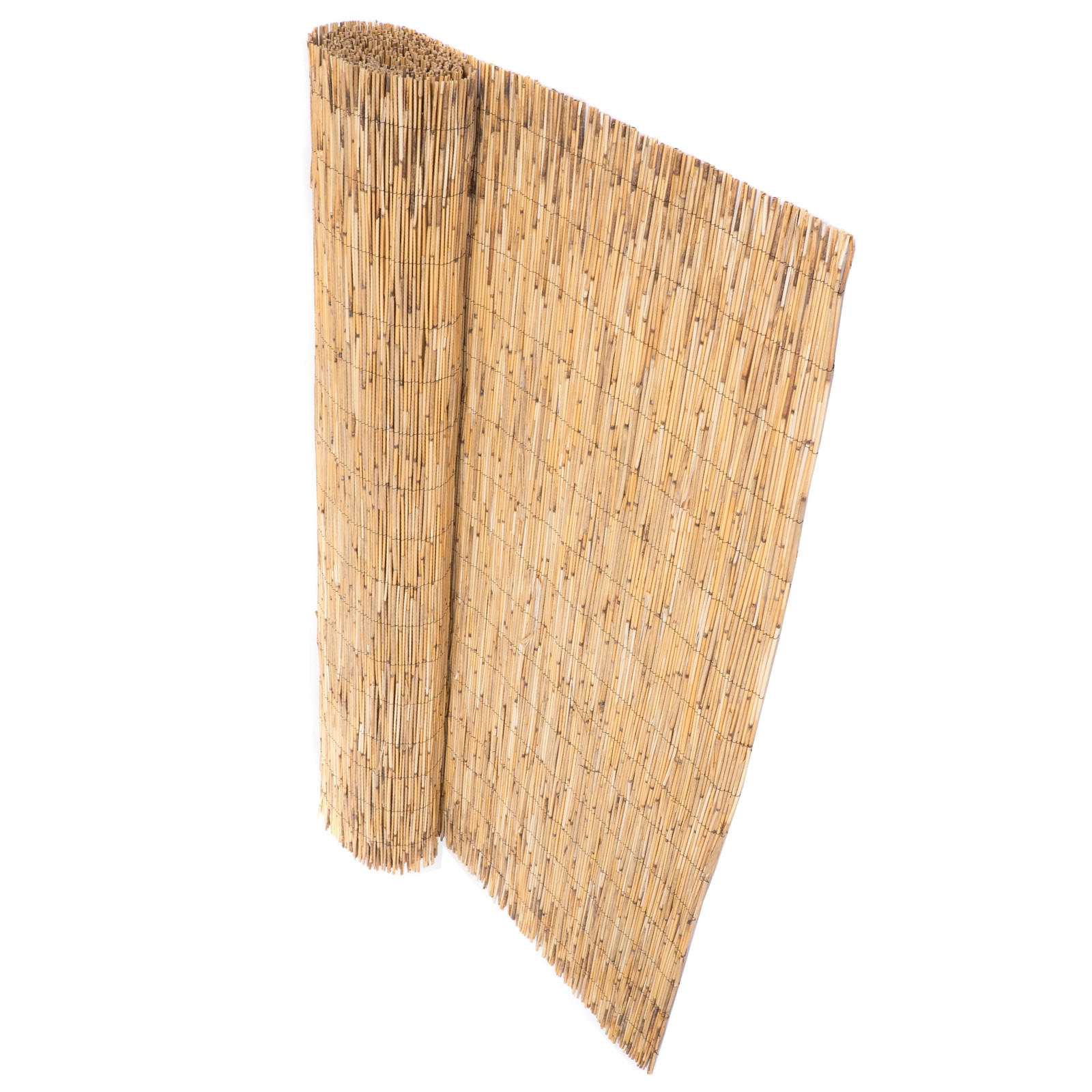 SICHTSCHUTZMATTE Aroa 60x160 cm, Schilfrohr naturfarben - Naturfarben, Naturmaterialien (600/160cm) - DESIGN DELIGHTS