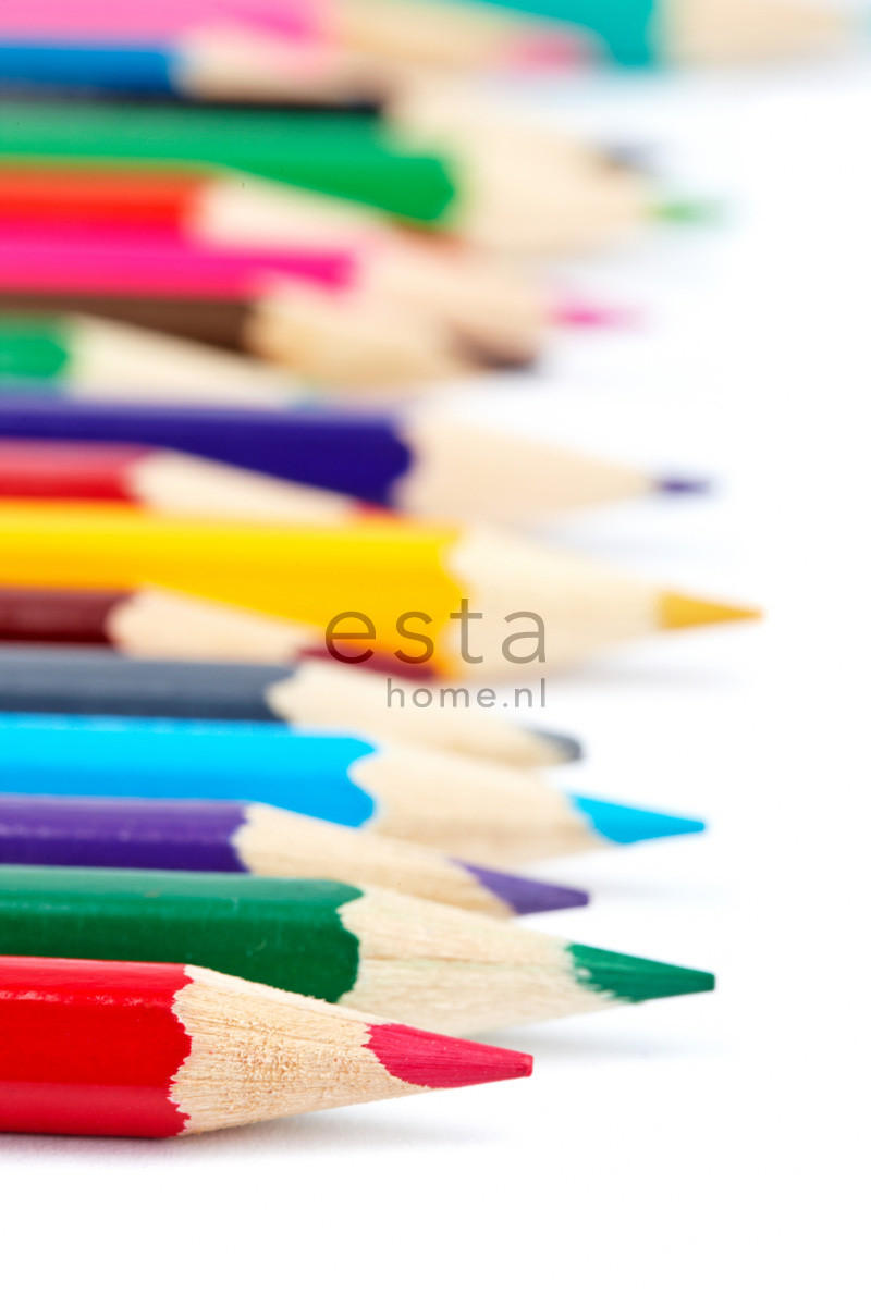 FOTOTAPETE Buntstifte 93 x 211.5 cm - Rot, Papier (93/211.5cm) - ESTAhome