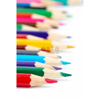 FOTOTAPETE Buntstifte 93 x 211.5 cm - Rot, Papier (93/211.5cm) - ESTAhome
