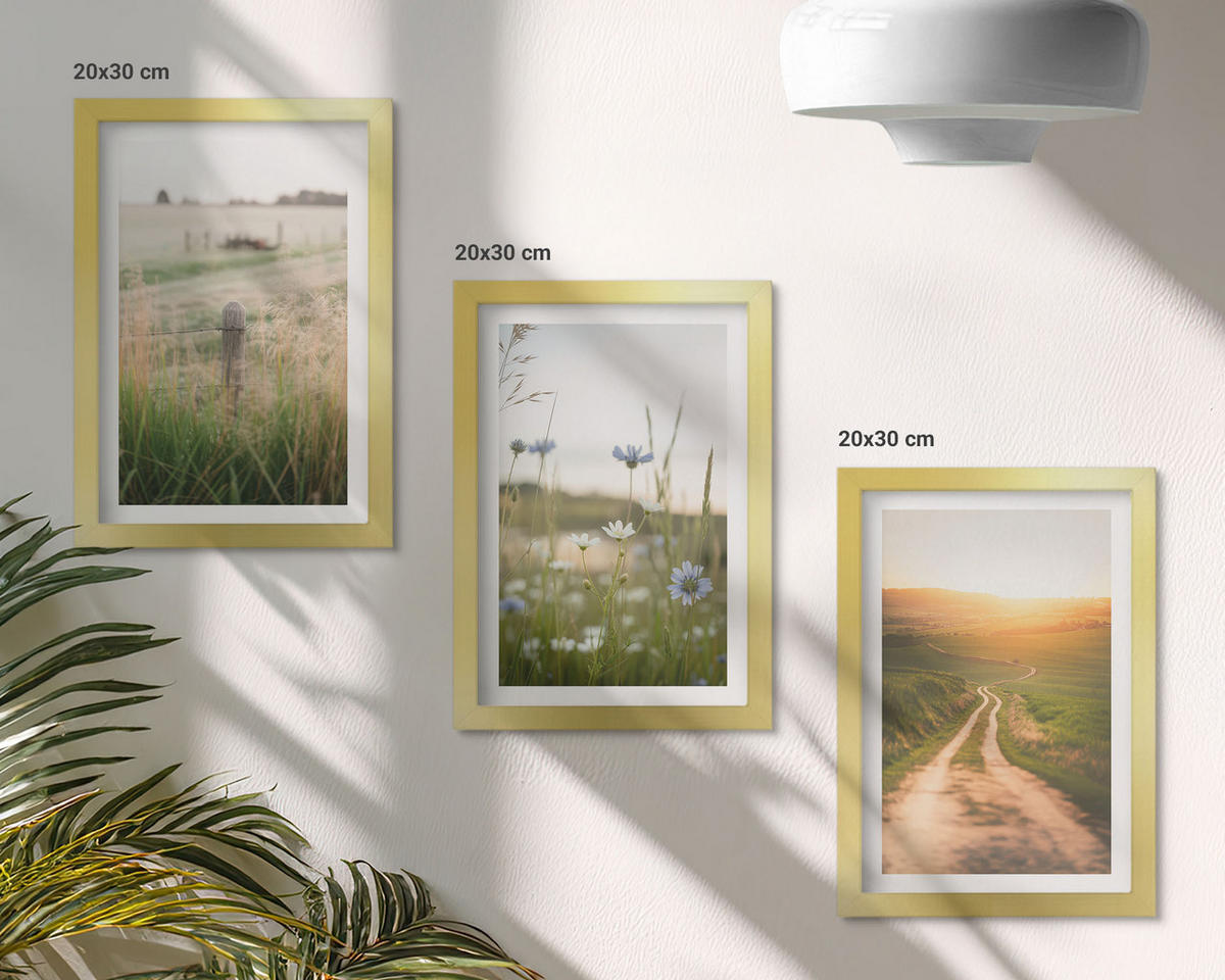 BILDER SET 3er Set - 20x30 cm Goldrahmen - Landschaften Natur Felder Weg - Goldfarben, Kunststoff (20/30cm) - TULUP