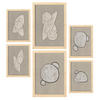 POSTER Set Mit 6 Kosmische Kontur In Form Abstracts Ästhetische Dekorative Gemälde Für Ihr Wohnzimmer Zuhause A3 & A4 Rahmen Aus Hellem Holz - Beige, Papier (29/3cm) - Nacnic